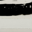 2008_schwarz_web