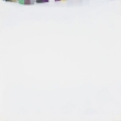 snow2