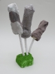 pilz6